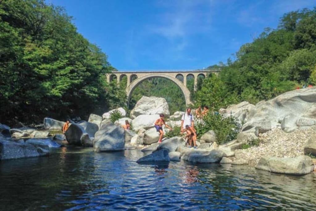 Anduze Gite Les Pins Au "Petit Clos Des Cigales" Massillargues-Attuech Exterior foto